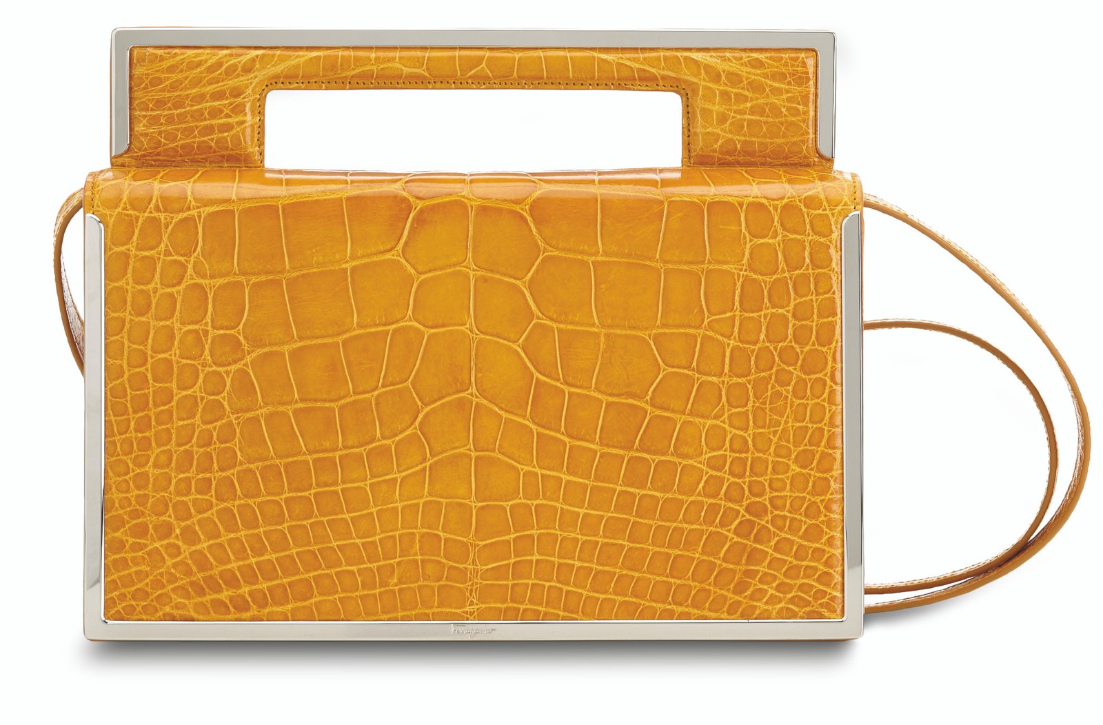 Salvatore Ferragamo Women's SS2016 Accessories_PAG062